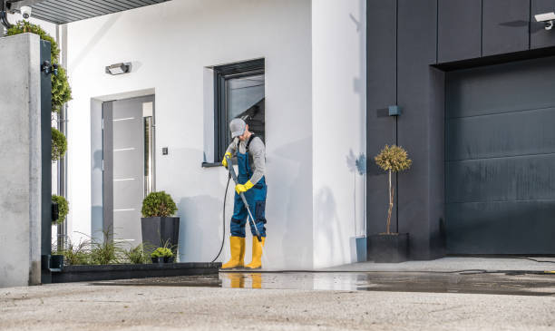 Best Animal Enclosure Cleaning  in Vandalia, IL